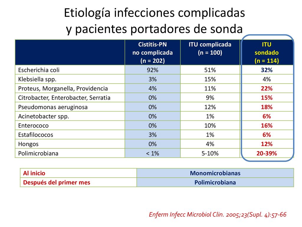 Etiología infecciones complicadas y pacientes portadores de sonda