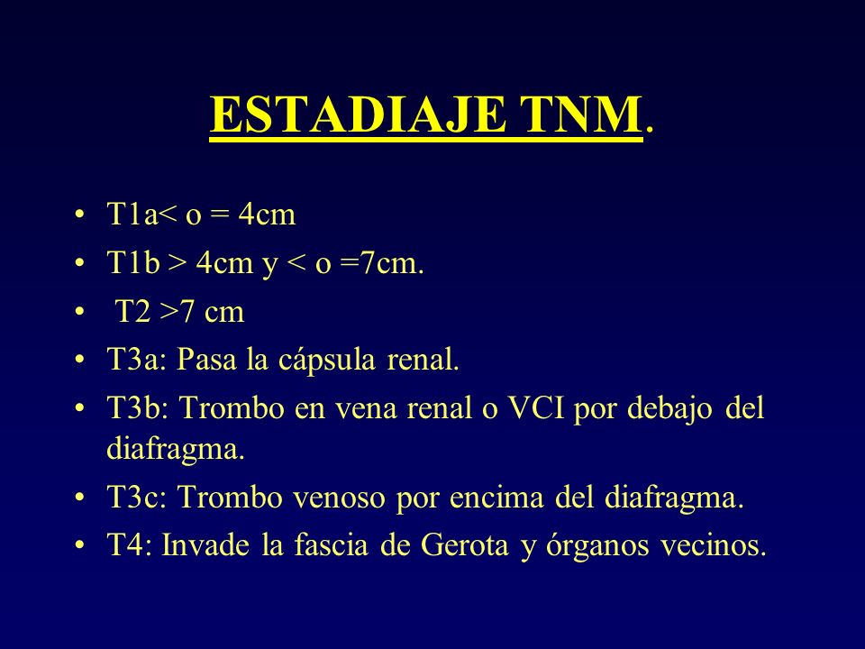 ESTADIAJE TNM. T1a< o = 4cm T1b > 4cm y < o =7cm. T2 >7 cm