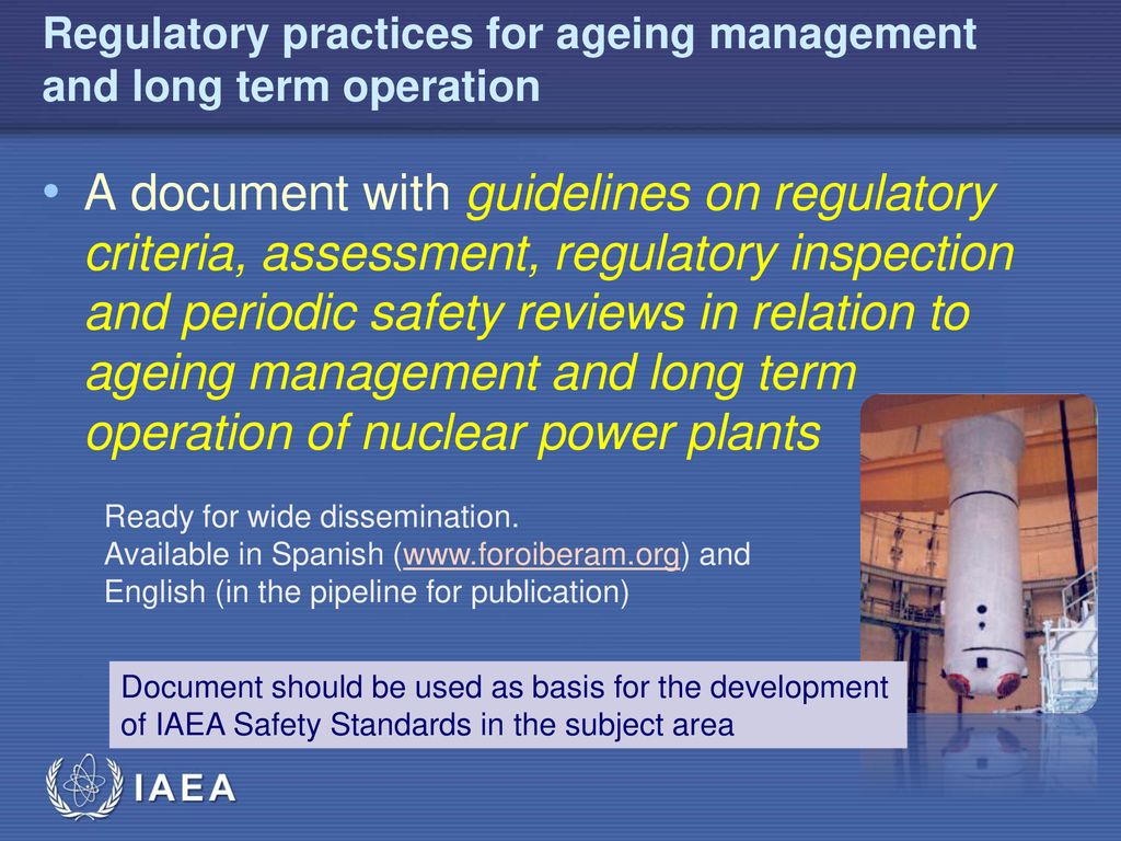 Regulatory practices for ageing management and long term operation