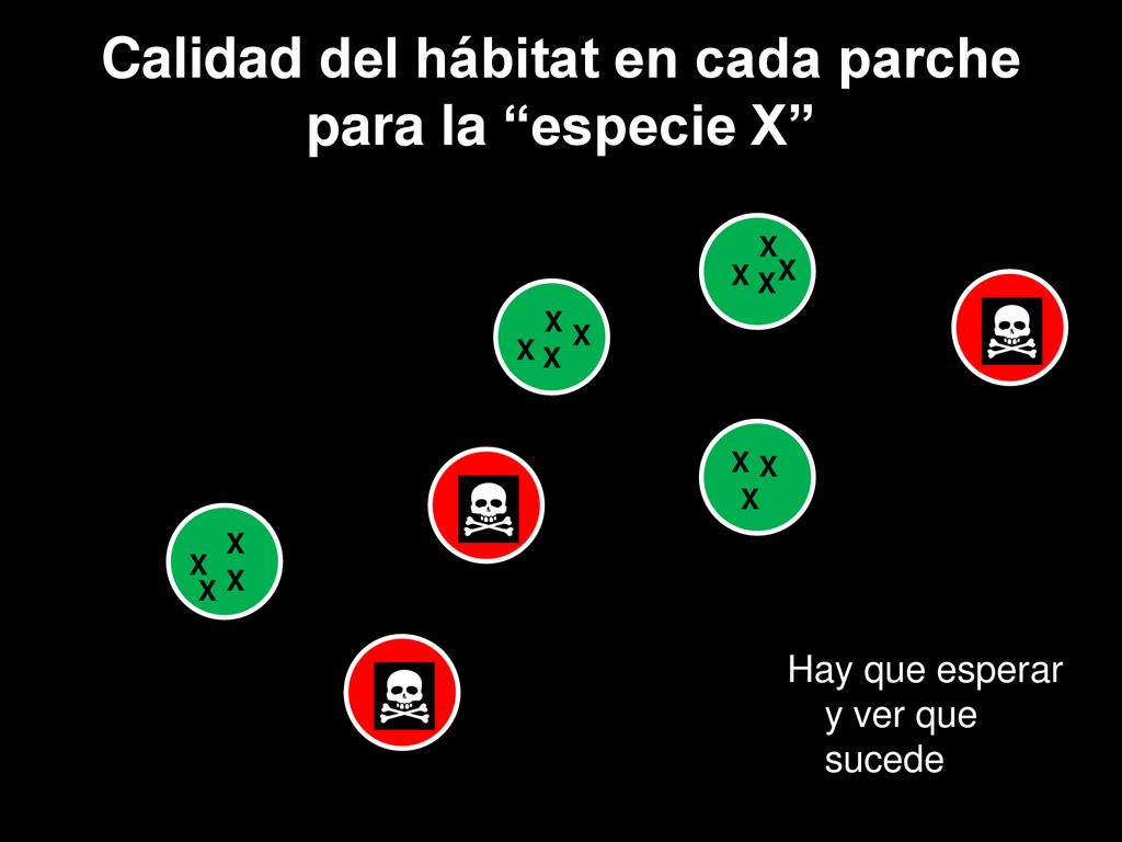 Calidad del hábitat en cada parche para la especie X