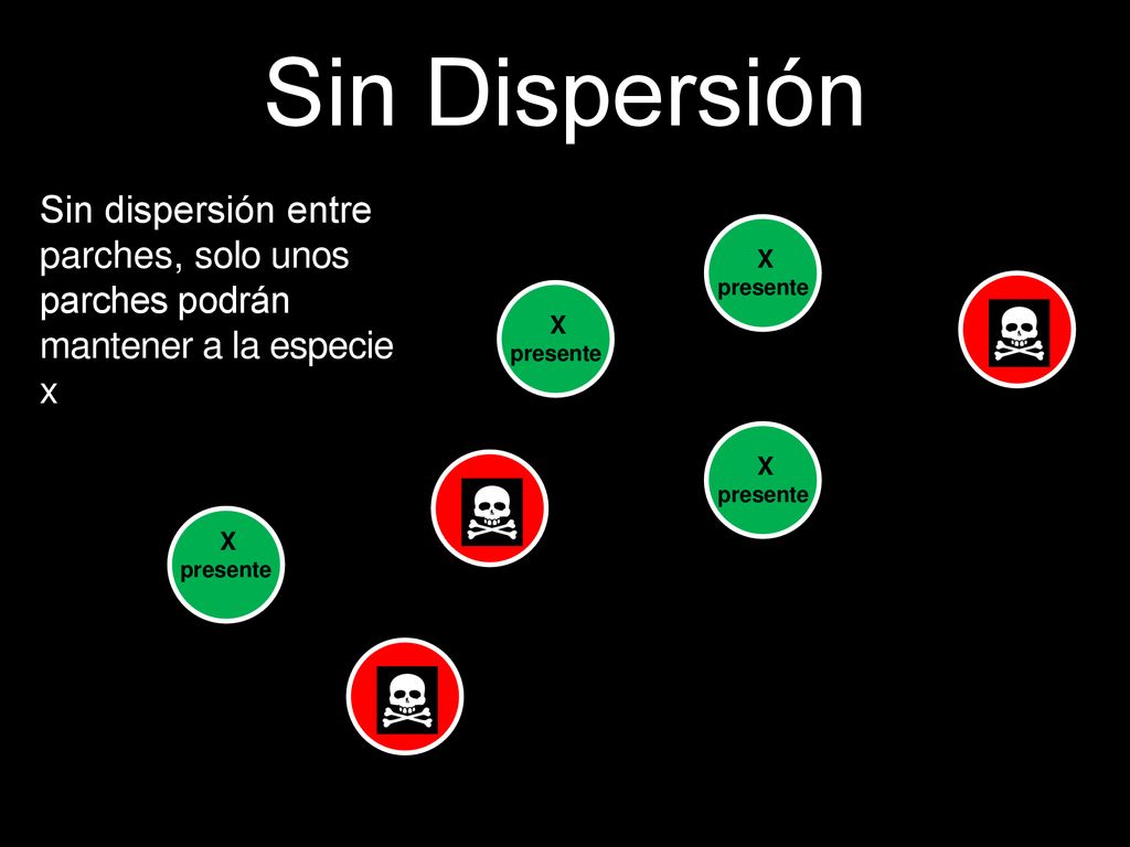 Sin Dispersión Sin dispersión entre parches, solo unos parches podrán mantener a la especie x. X.