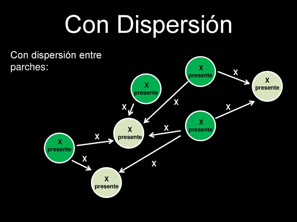 Con Dispersión Con dispersión entre parches: X X X X X X X X X X X X X