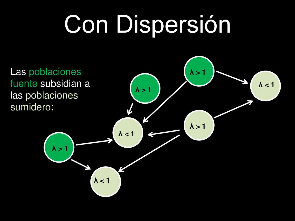 Con Dispersión Las poblaciones fuente subsidian a las poblaciones sumidero: λ > 1. λ < 1. λ > 1.