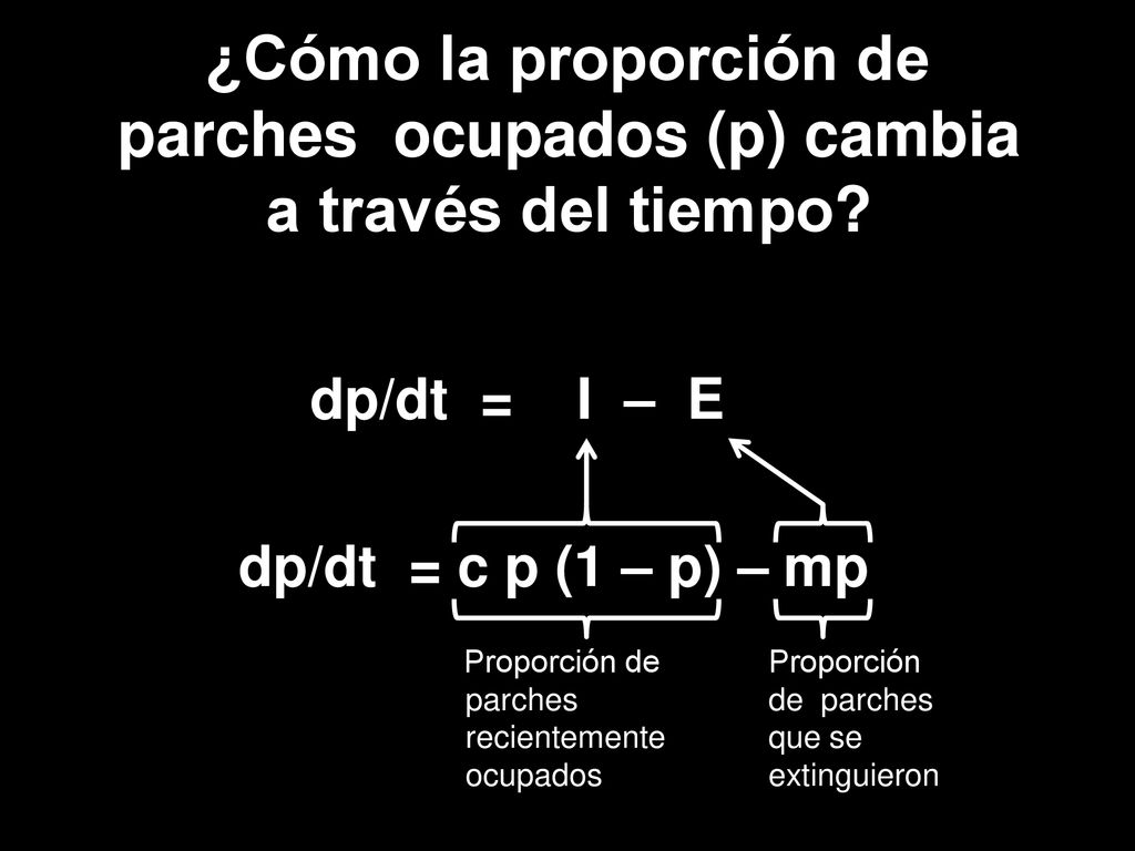 ¿Cómo la proporción de parches ocupados (p) cambia a través del tiempo