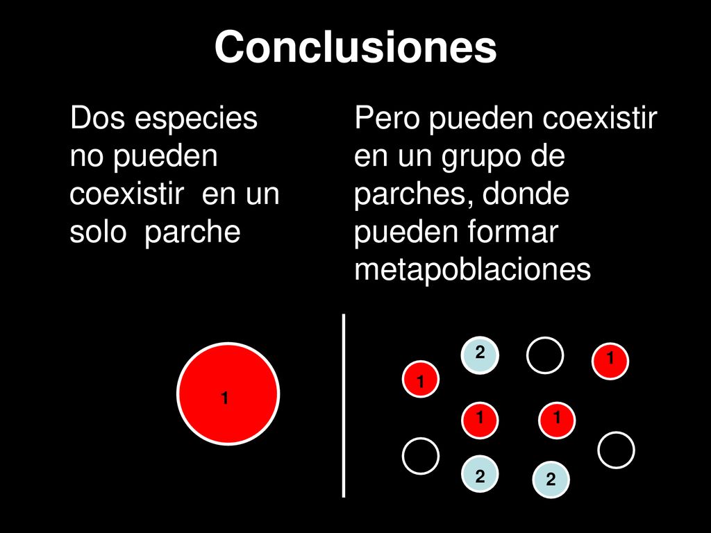 Conclusiones Dos especies no pueden coexistir en un solo parche