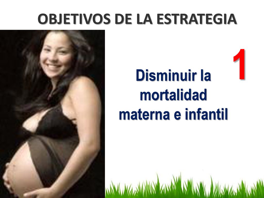 OBJETIVOS DE LA ESTRATEGIA Disminuir la mortalidad materna e infantil