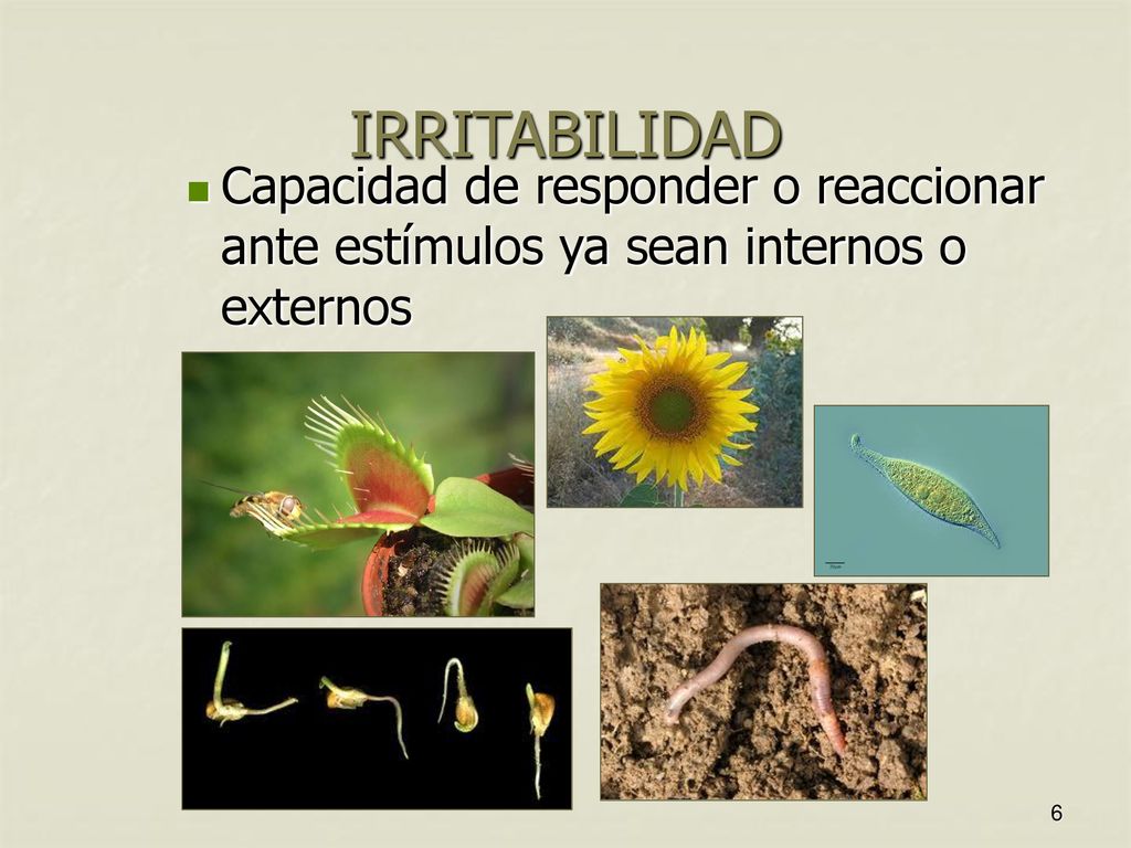 IRRITABILIDAD Capacidad de responder o reaccionar ante estímulos ya sean internos o externos