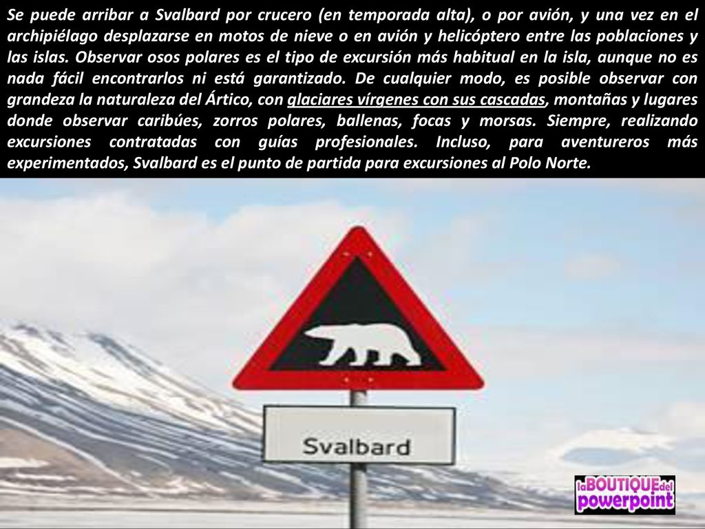 Se puede arribar a Svalbard por crucero (en temporada alta), o por avión, y una vez en el archipiélago desplazarse en motos de nieve o en avión y helicóptero entre las poblaciones y las islas.