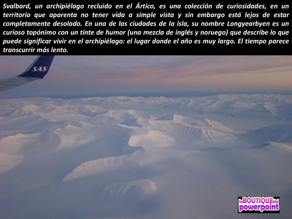 Svalbard, un archipiélago recluido en el Ártico, es una colección de curiosidades, en un territorio que aparenta no tener vida a simple vista y sin embargo está lejos de estar completamente desolado.