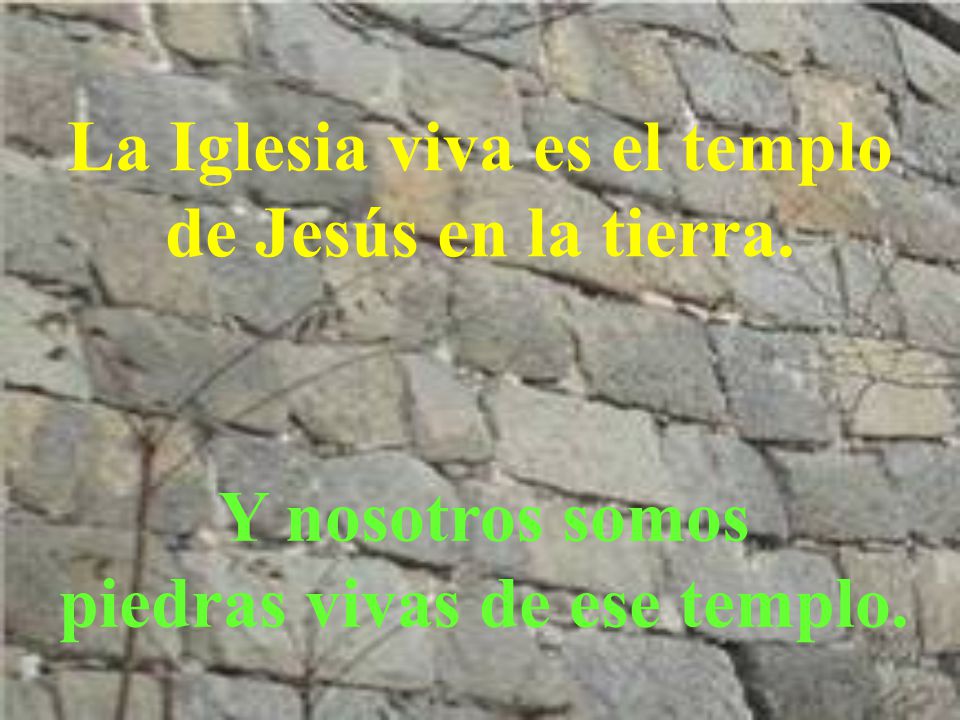 La Iglesia viva es el templo de Jesús en la tierra.