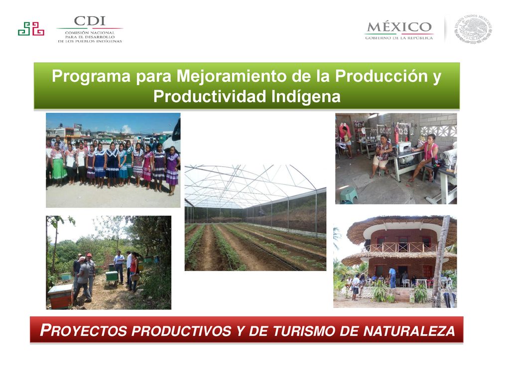 Programa para Mejoramiento de la Producción y Productividad Indígena