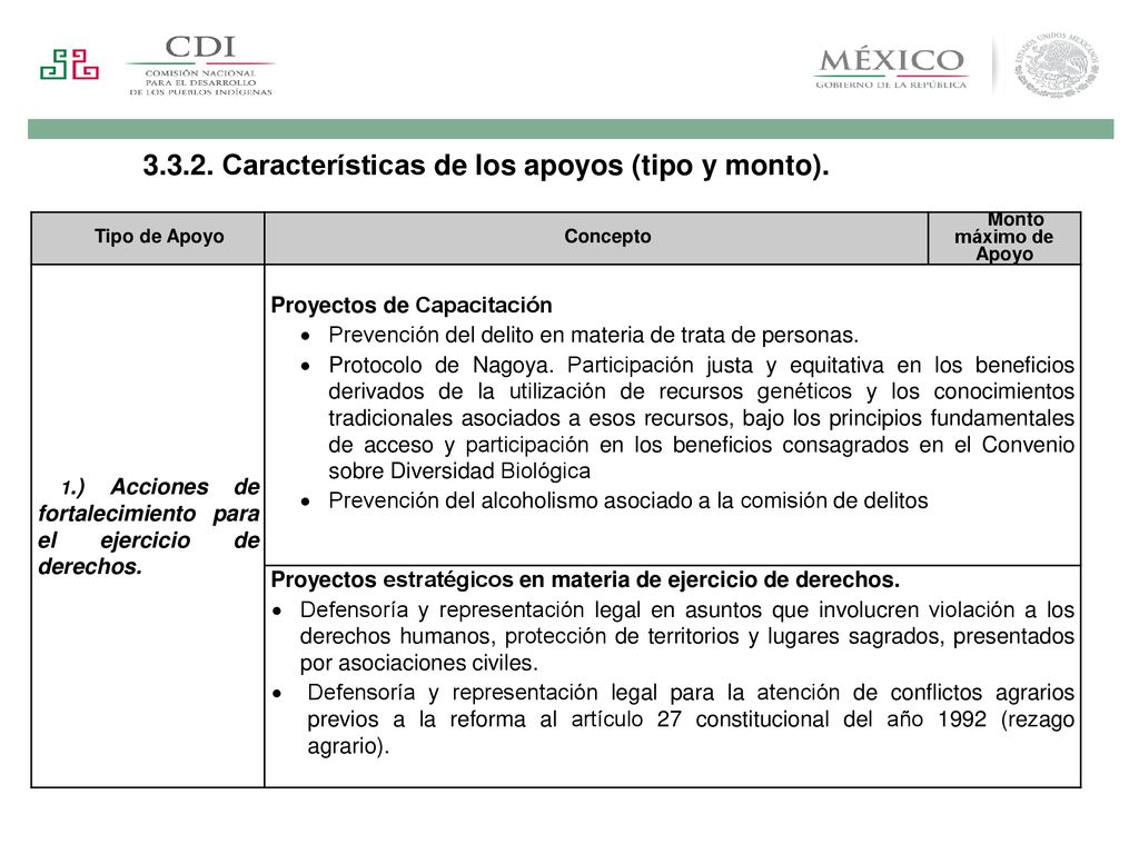 Características de los apoyos (tipo y monto).