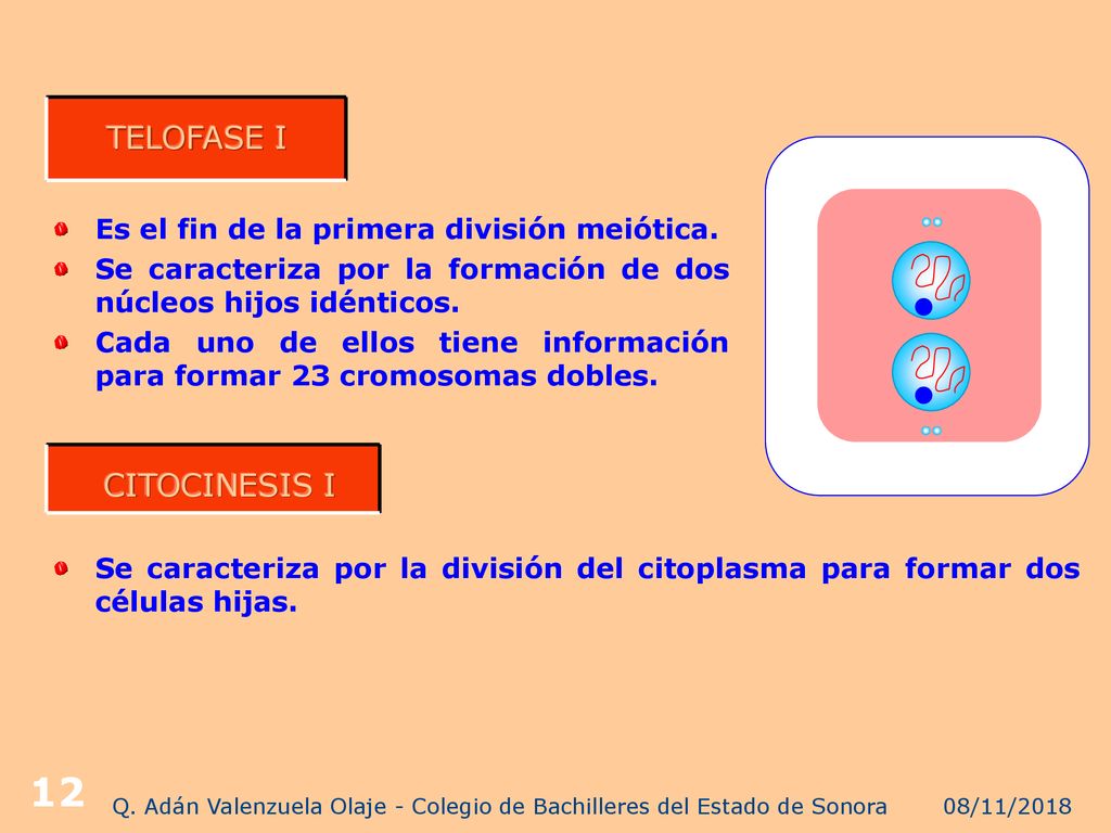 Q. Adán Valenzuela Olaje - Colegio de Bachilleres del Estado de Sonora