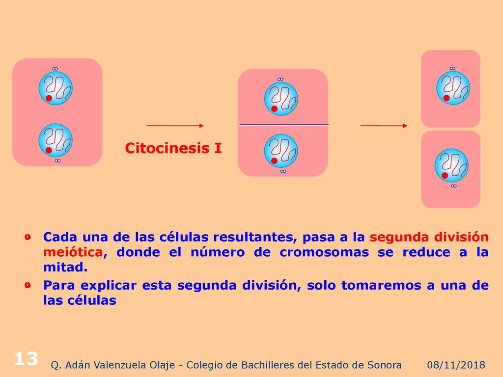 Q. Adán Valenzuela Olaje - Colegio de Bachilleres del Estado de Sonora