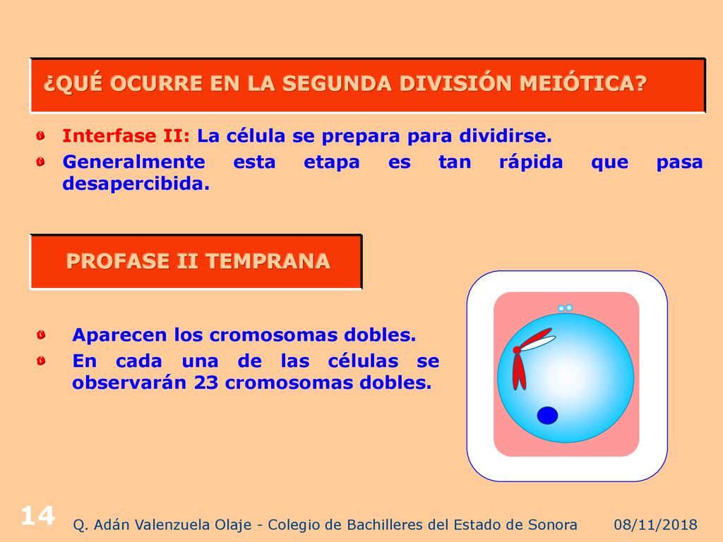 Q. Adán Valenzuela Olaje - Colegio de Bachilleres del Estado de Sonora