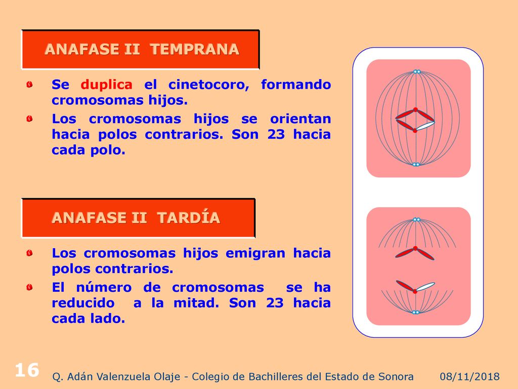 Q. Adán Valenzuela Olaje - Colegio de Bachilleres del Estado de Sonora