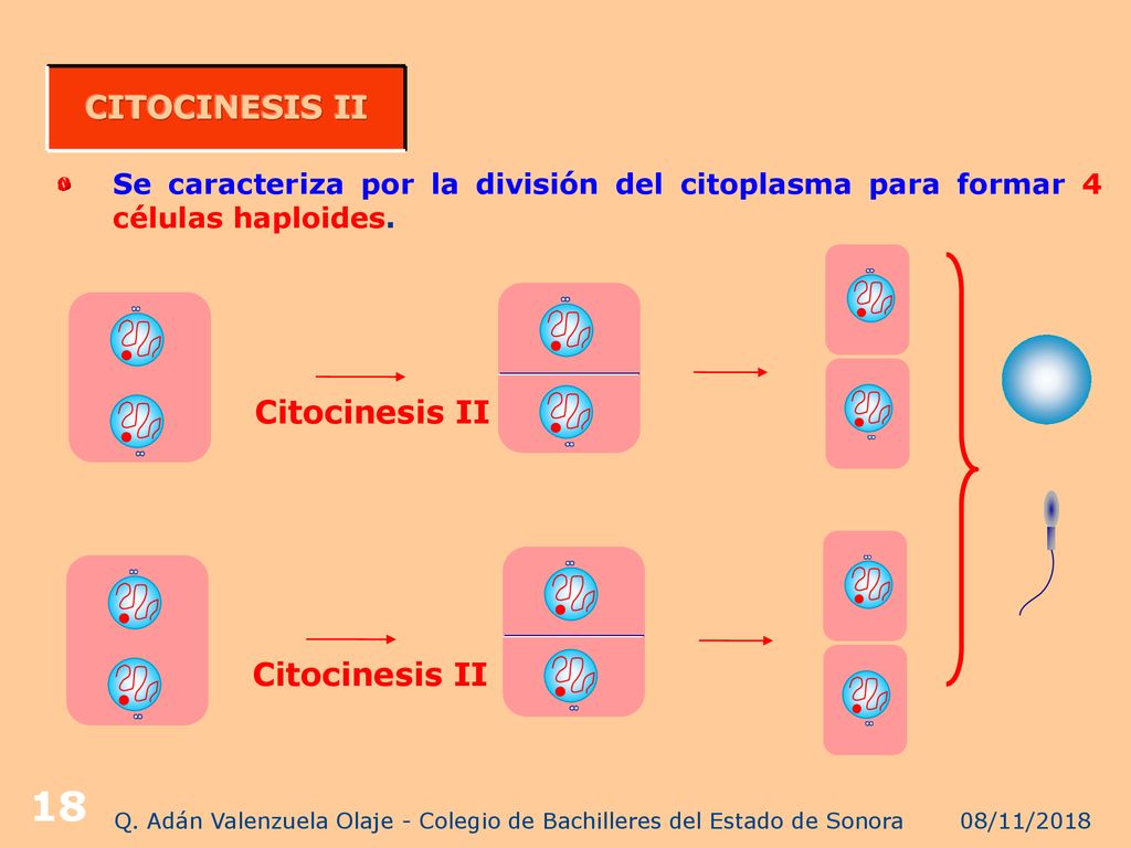 Q. Adán Valenzuela Olaje - Colegio de Bachilleres del Estado de Sonora