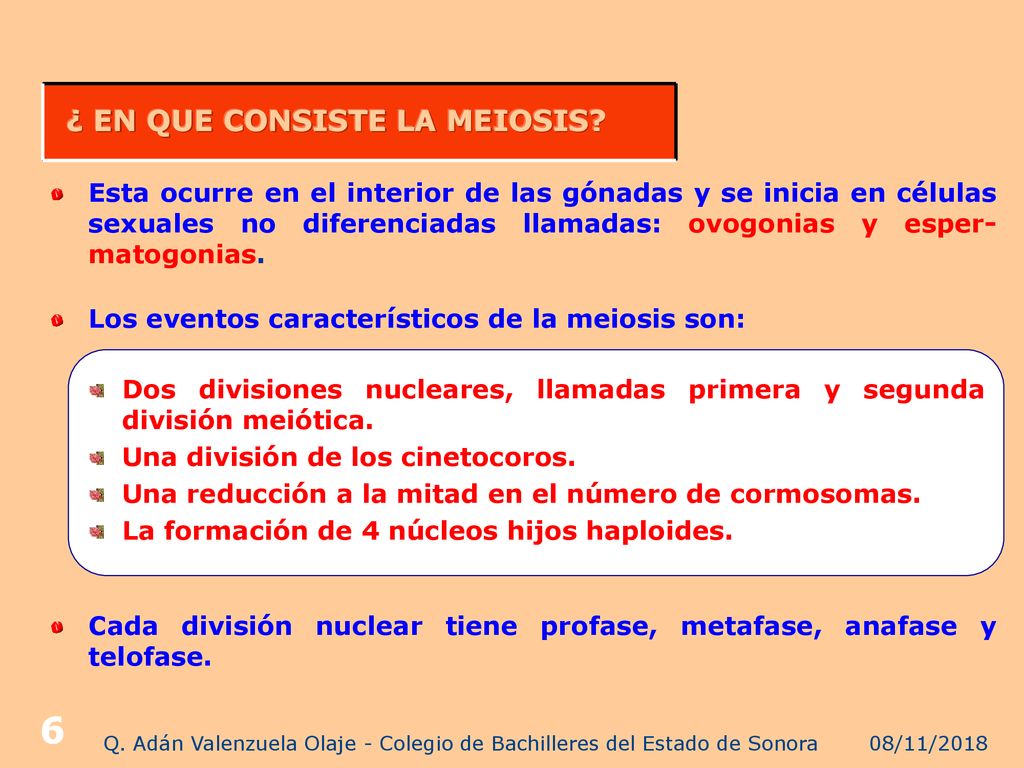 Q. Adán Valenzuela Olaje - Colegio de Bachilleres del Estado de Sonora