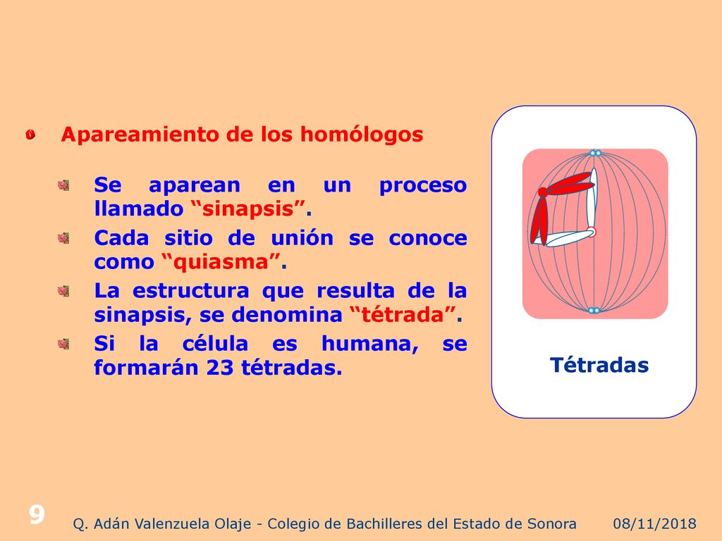 Q. Adán Valenzuela Olaje - Colegio de Bachilleres del Estado de Sonora