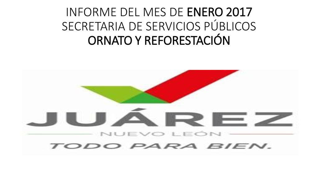 INFORME DEL MES DE ENERO 2017 SECRETARIA DE SERVICIOS PÚBLICOS ORNATO Y REFORESTACIÓN