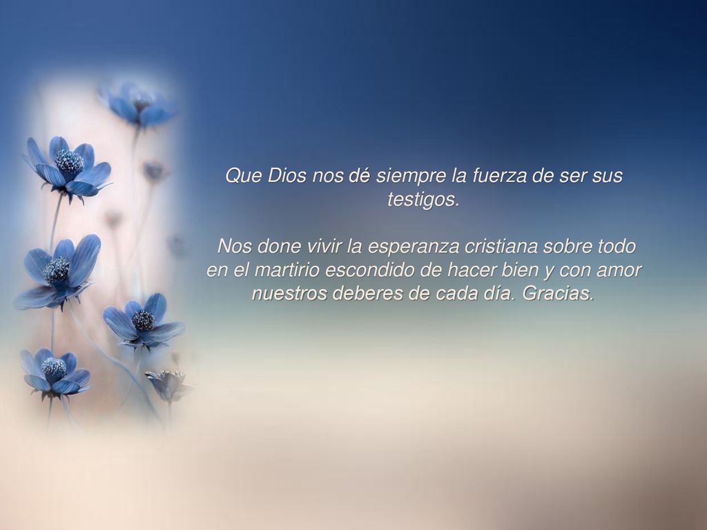 Que Dios nos dé siempre la fuerza de ser sus testigos.