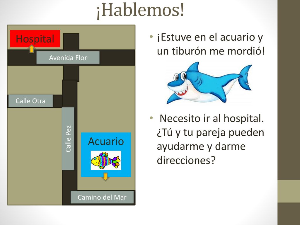 ¡Hablemos! ¡Estuve en el acuario y un tiburón me mordió! Hospital