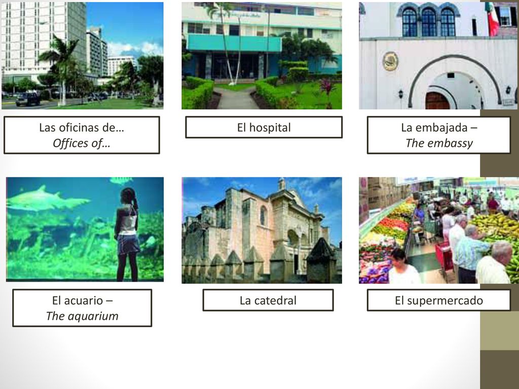 Las oficinas de… Offices of… El hospital. La embajada – The embassy. El acuario – The aquarium.