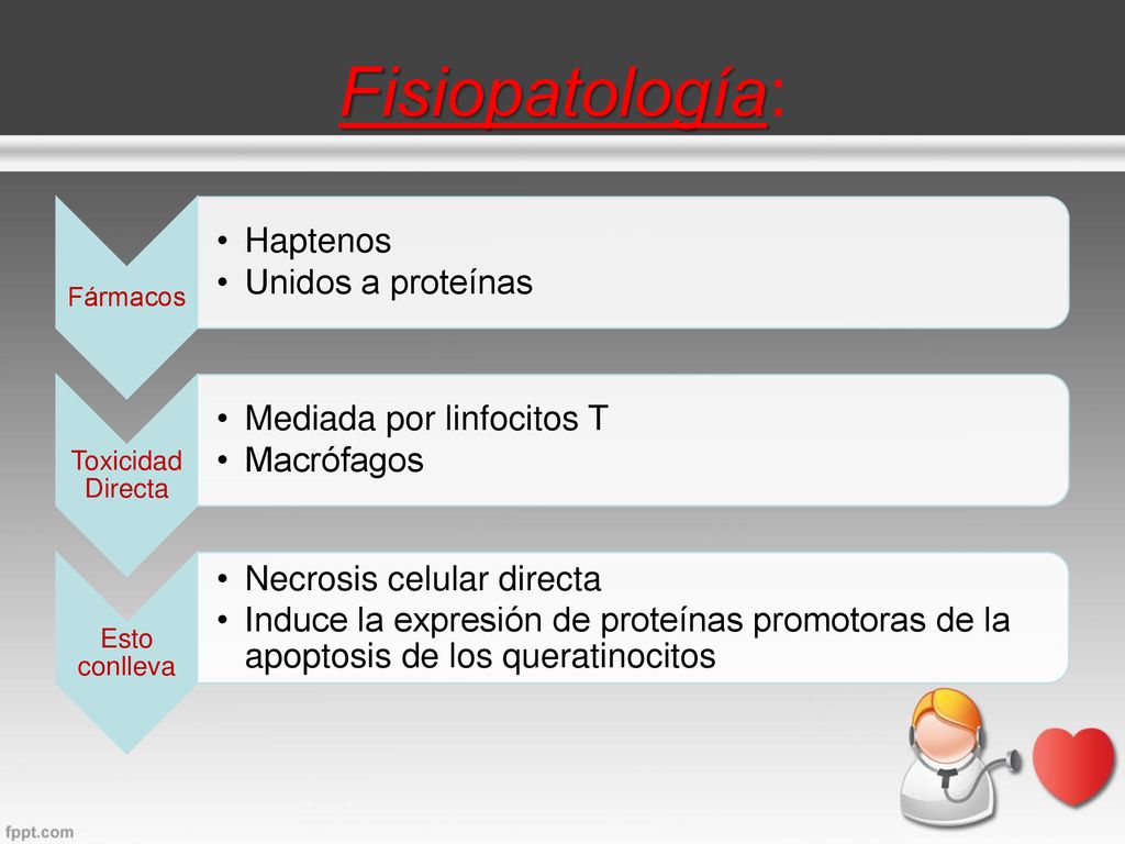 Fisiopatología: Haptenos Unidos a proteínas Mediada por linfocitos T