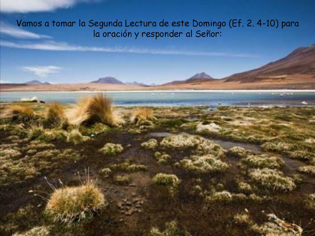Vamos a tomar la Segunda Lectura de este Domingo (Ef. 2
