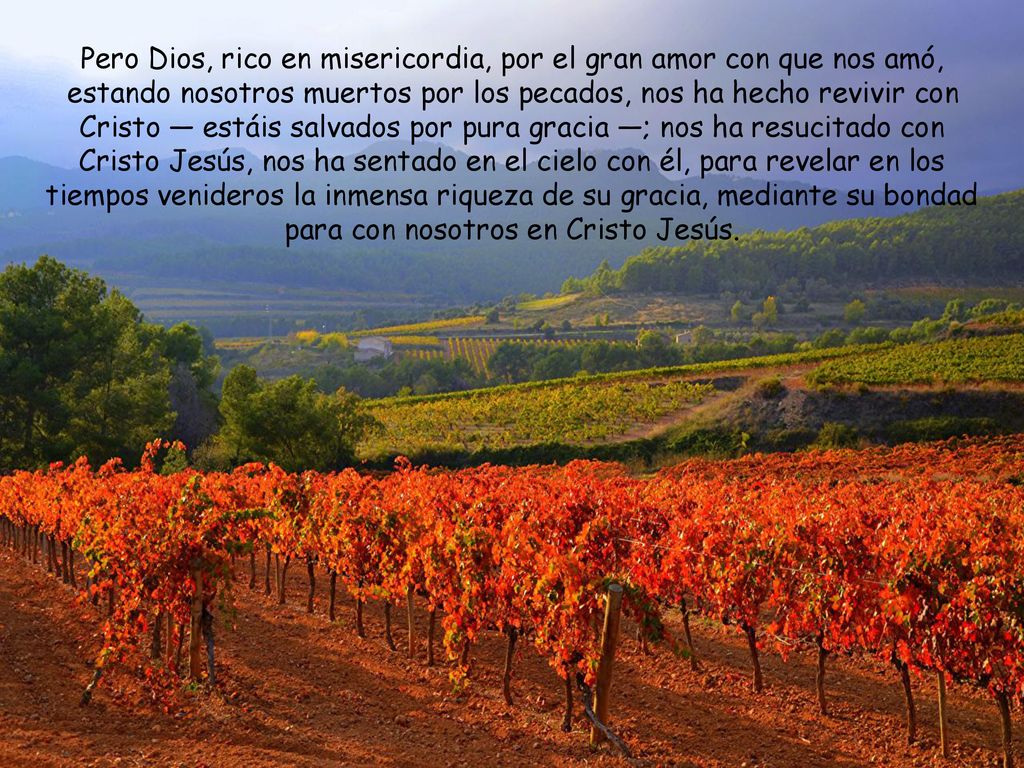 Pero Dios, rico en misericordia, por el gran amor con que nos amó, estando nosotros muertos por los pecados, nos ha hecho revivir con Cristo — estáis salvados por pura gracia —; nos ha resucitado con Cristo Jesús, nos ha sentado en el cielo con él, para revelar en los tiempos venideros la inmensa riqueza de su gracia, mediante su bondad para con nosotros en Cristo Jesús.