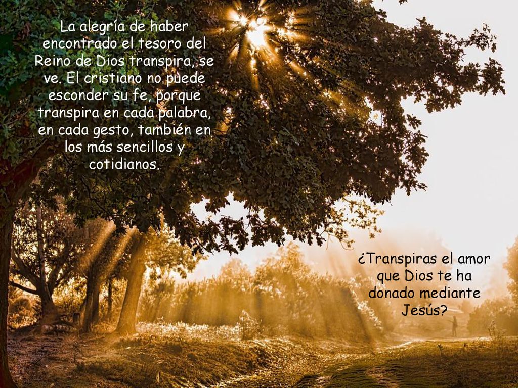 ¿Transpiras el amor que Dios te ha donado mediante Jesús