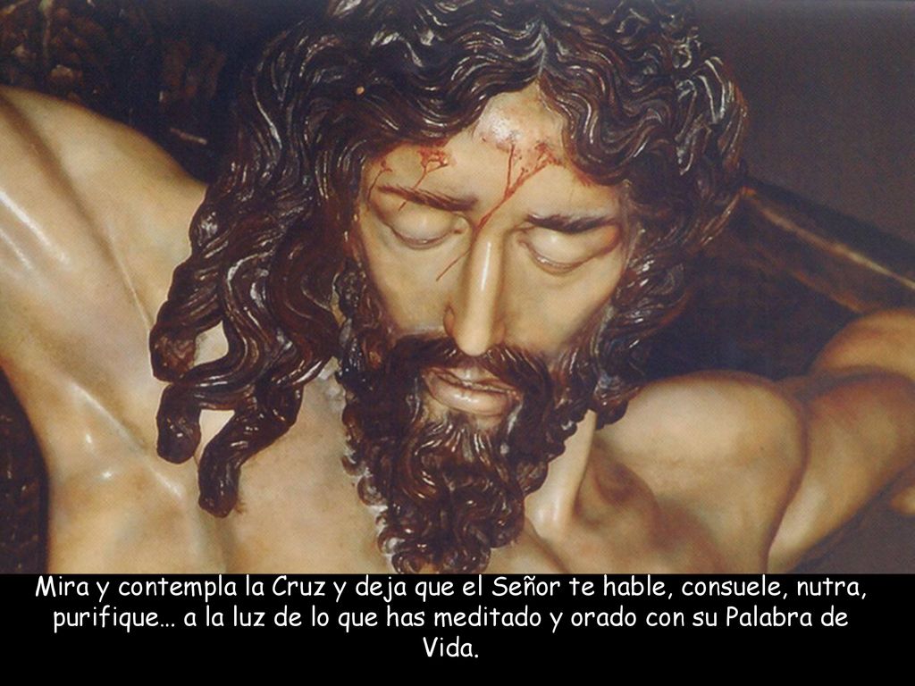 Mira y contempla la Cruz y deja que el Señor te hable, consuele, nutra, purifique… a la luz de lo que has meditado y orado con su Palabra de Vida.
