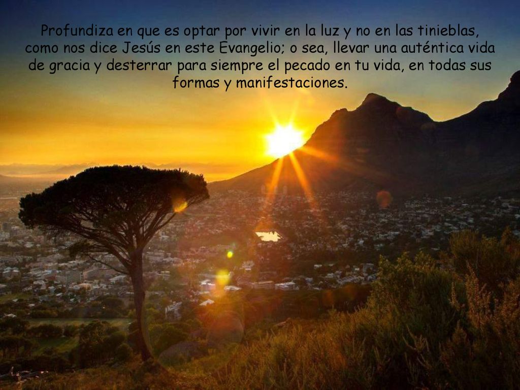 Profundiza en que es optar por vivir en la luz y no en las tinieblas, como nos dice Jesús en este Evangelio; o sea, llevar una auténtica vida de gracia y desterrar para siempre el pecado en tu vida, en todas sus formas y manifestaciones.