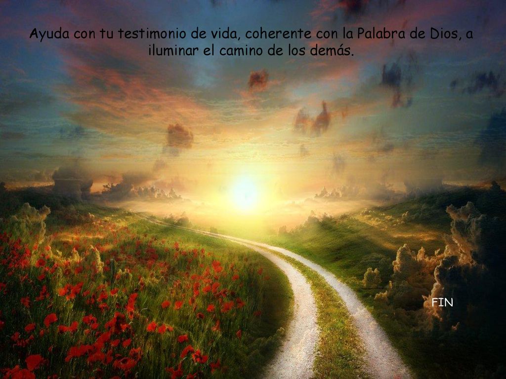 Ayuda con tu testimonio de vida, coherente con la Palabra de Dios, a iluminar el camino de los demás.
