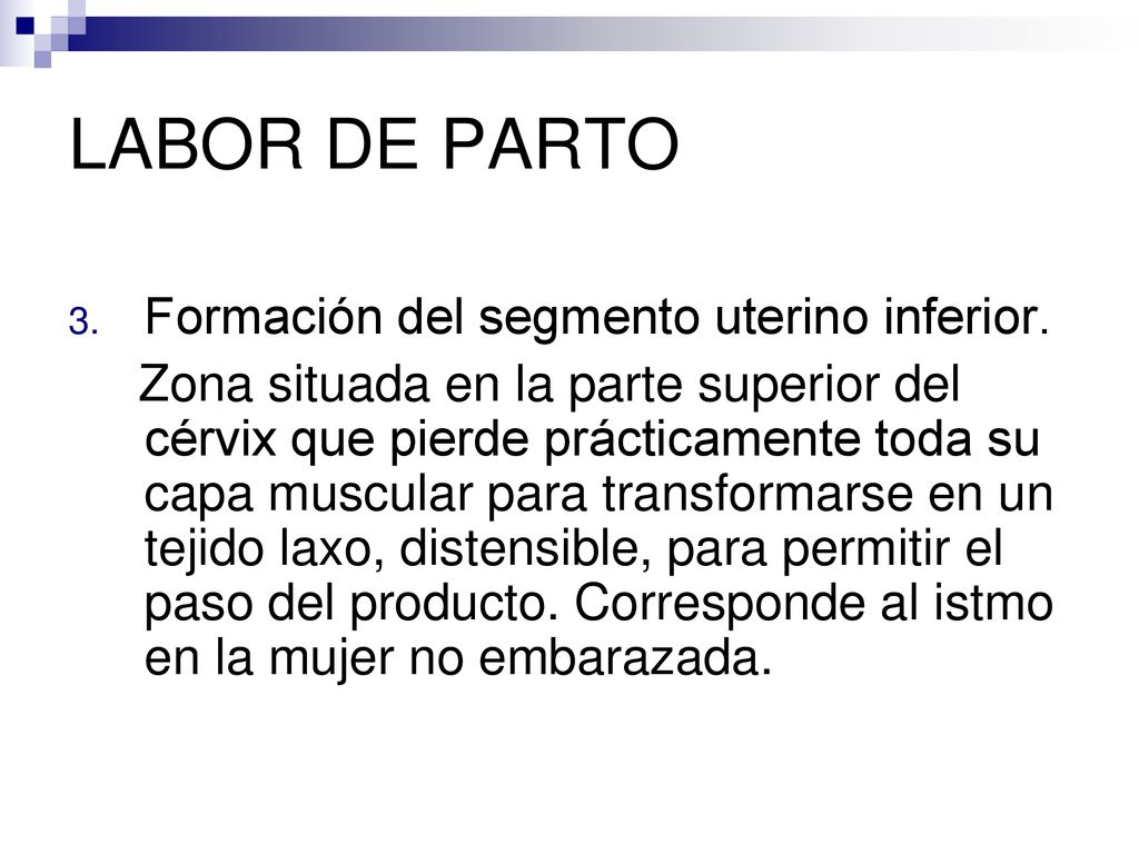 LABOR DE PARTO Formación del segmento uterino inferior.