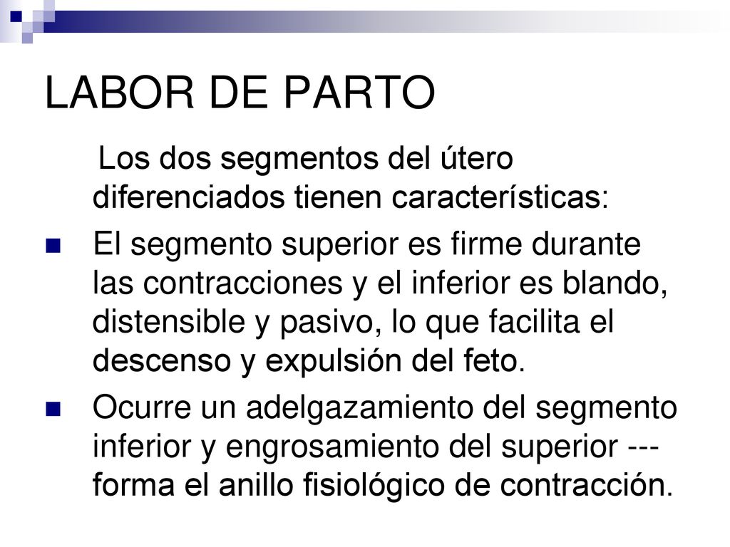 LABOR DE PARTO Los dos segmentos del útero diferenciados tienen características: