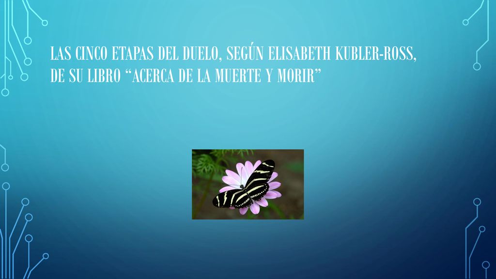 Las cinco etapas del duelo, según Elisabeth Kubler-Ross, De su libro Acerca de la muerte y morir