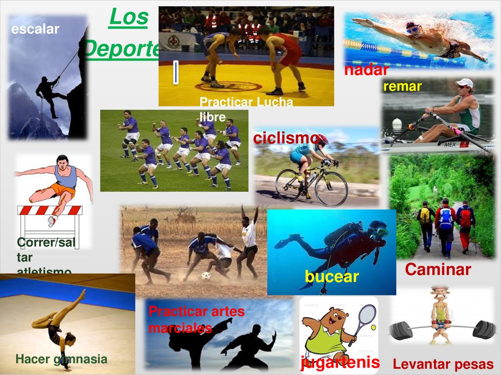 Los Deportes nadar ciclismo Caminar bucear jugartenis escalar remar