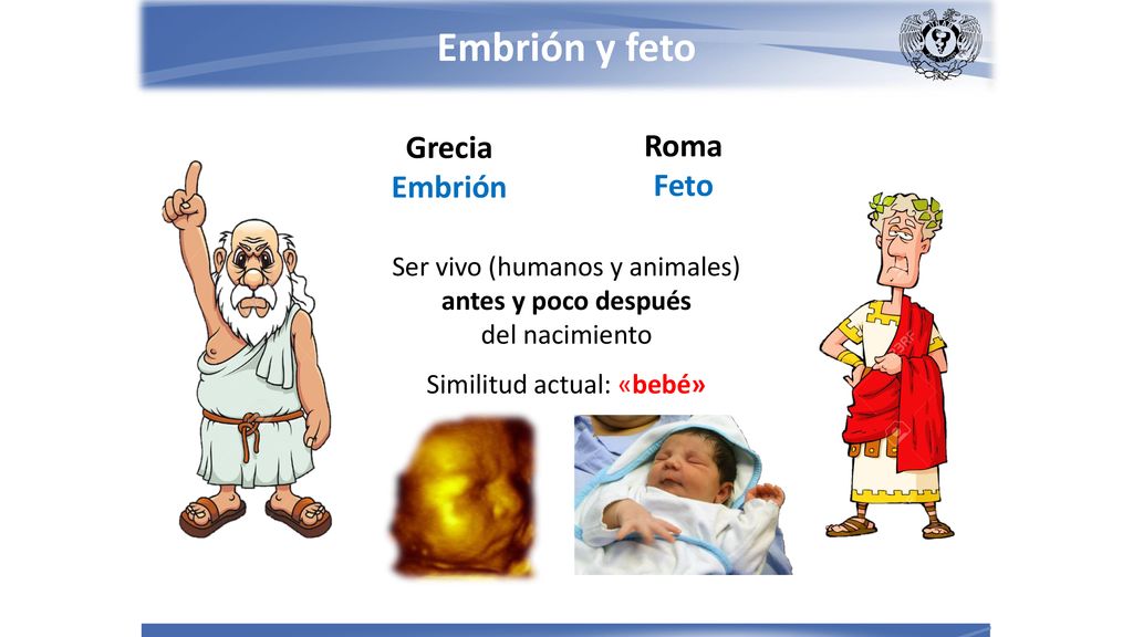 Embrión y feto Grecia Roma Embrión Feto Ser vivo (humanos y animales)