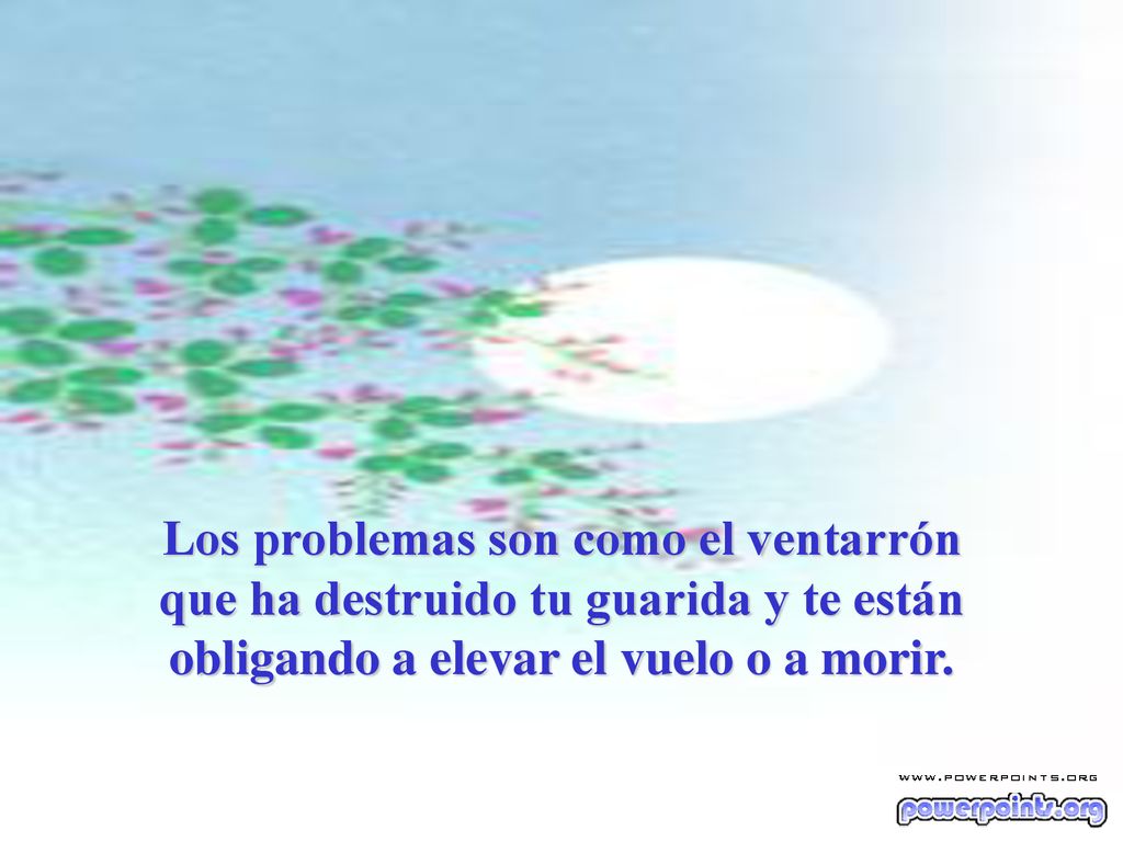 Los problemas son como el ventarrón que ha destruido tu guarida y te están obligando a elevar el vuelo o a morir.