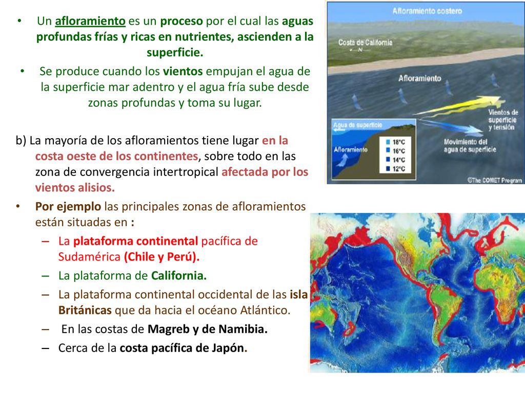 Un afloramiento es un proceso por el cual las aguas profundas frías y ricas en nutrientes, ascienden a la superficie.