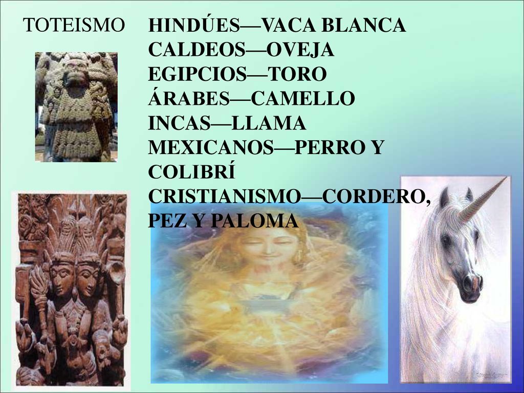 TOTEISMO HINDÚES—VACA BLANCA. CALDEOS—OVEJA. EGIPCIOS—TORO. ÁRABES—CAMELLO. INCAS—LLAMA. MEXICANOS—PERRO Y COLIBRÍ.