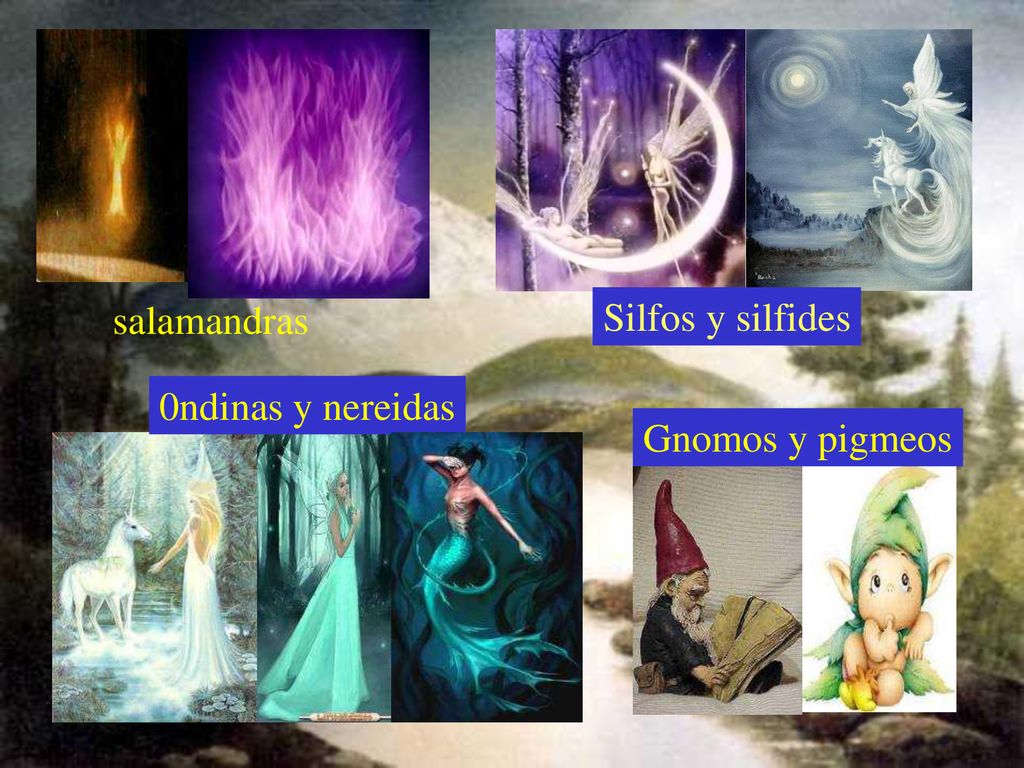 salamandras Silfos y silfides 0ndinas y nereidas Gnomos y pigmeos