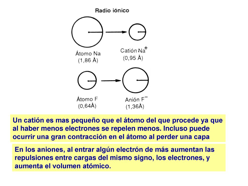 Un catión es mas pequeño que el átomo del que procede ya que al haber menos electrones se repelen menos. Incluso puede ocurrir una gran contracción en el átomo al perder una capa