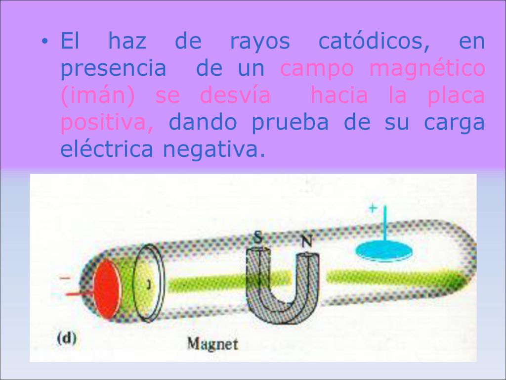 El haz de rayos catódicos, en presencia de un campo magnético (imán) se desvía hacia la placa positiva, dando prueba de su carga eléctrica negativa.