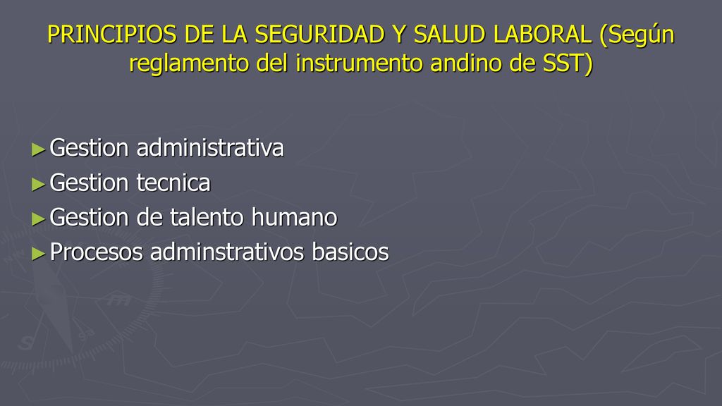 PRINCIPIOS DE LA SEGURIDAD Y SALUD LABORAL (Según reglamento del instrumento andino de SST)