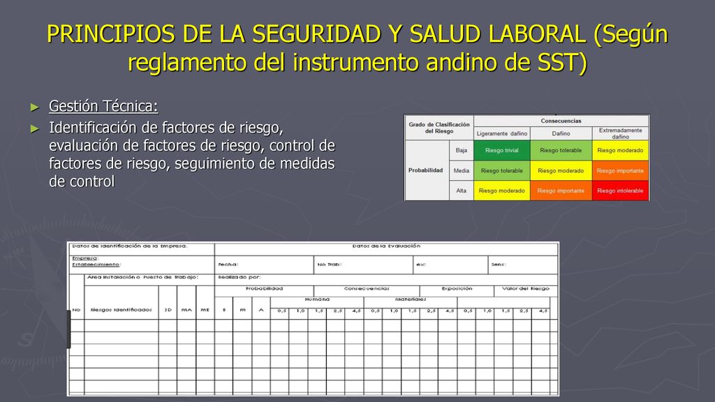 PRINCIPIOS DE LA SEGURIDAD Y SALUD LABORAL (Según reglamento del instrumento andino de SST)