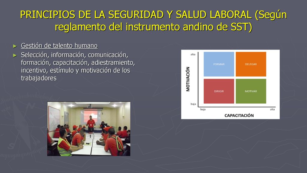 PRINCIPIOS DE LA SEGURIDAD Y SALUD LABORAL (Según reglamento del instrumento andino de SST)