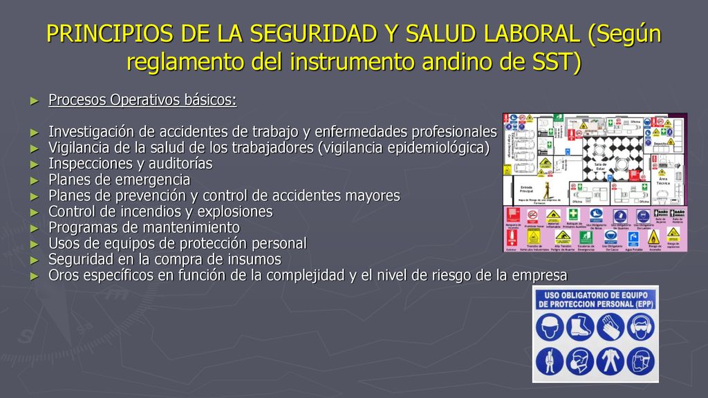 PRINCIPIOS DE LA SEGURIDAD Y SALUD LABORAL (Según reglamento del instrumento andino de SST)