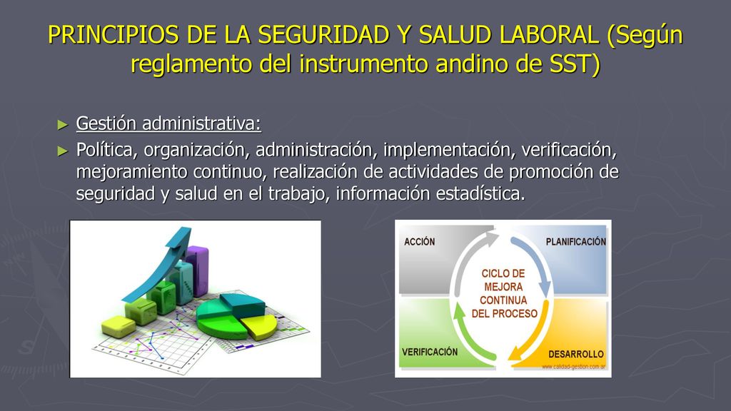 PRINCIPIOS DE LA SEGURIDAD Y SALUD LABORAL (Según reglamento del instrumento andino de SST)